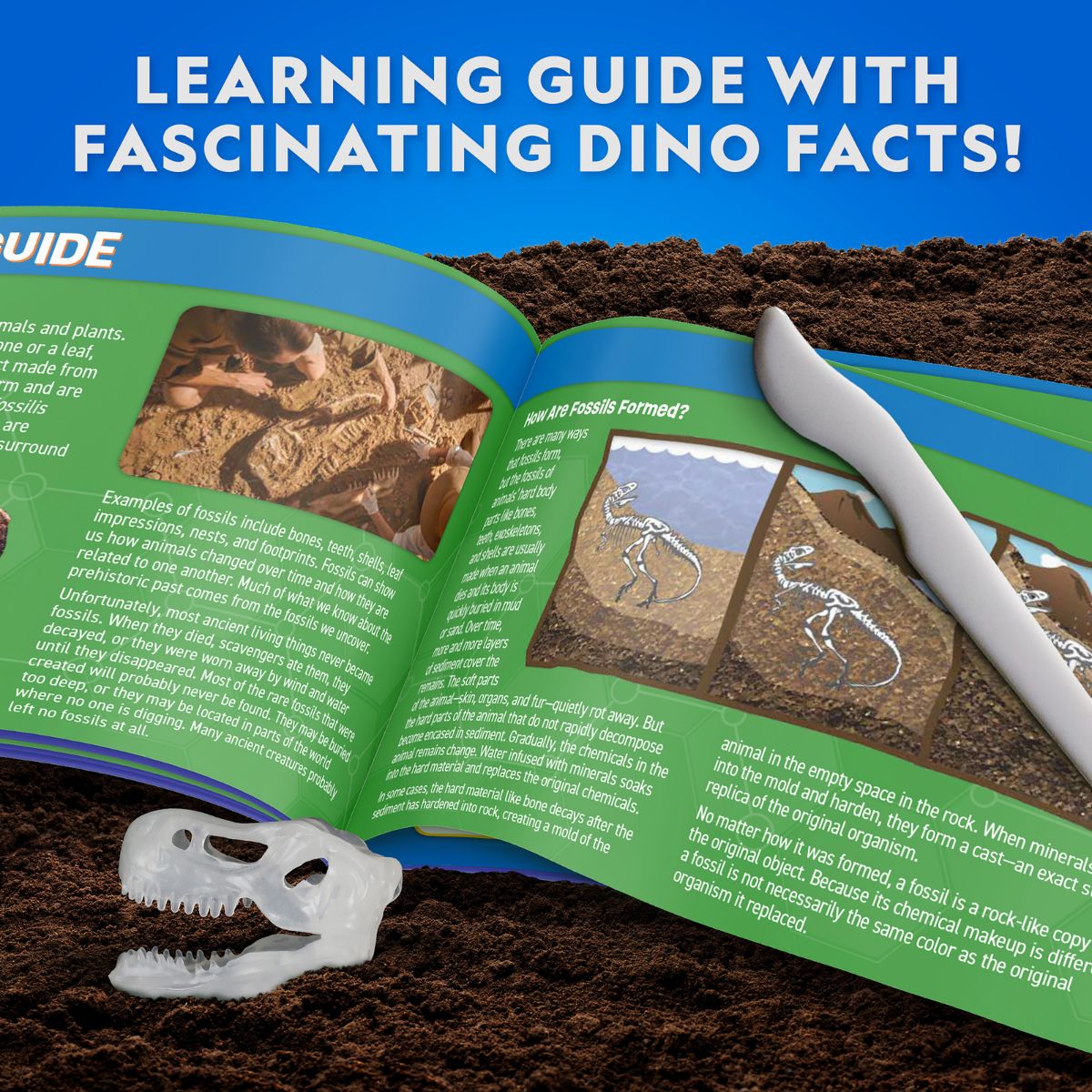 Đồ Chơi Nat Geo Bộ Giải Phẫu T-Rex Phát Sáng Trong Đêm STEAM RTNGTREXLAB