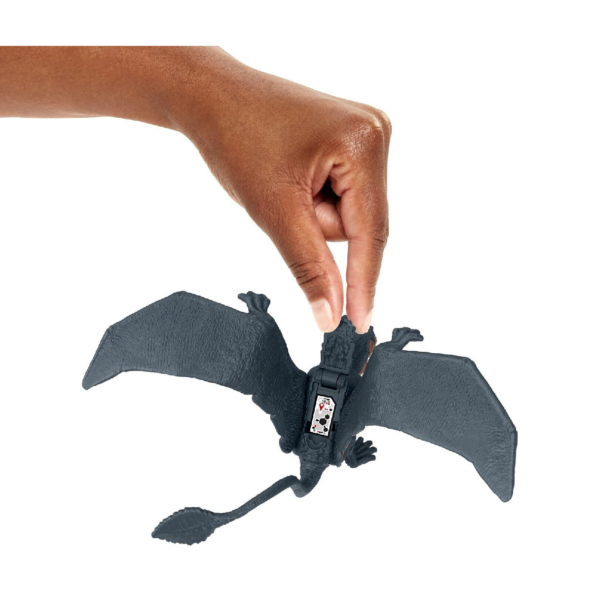 Mô Hình Khủng Long Dimorphodon 6 Inch Có Khớp Linh Hoạt JURASSIC WORLD MATTEL HLN49