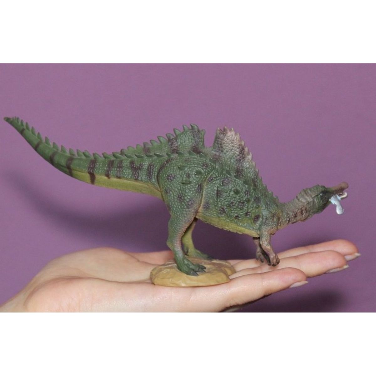 Đồ Chơi Mô Hình Động Vật Khủng Long Săn Cá Ichthyovenator COLLECTA 88654