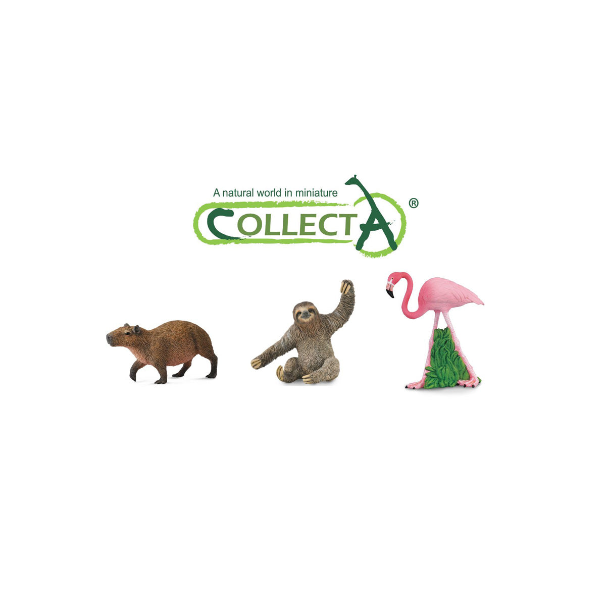 Đồ Chơi Mô Hình Động Vật Hồng Hạc, Capybara, Con Lười COLLECTA 84305