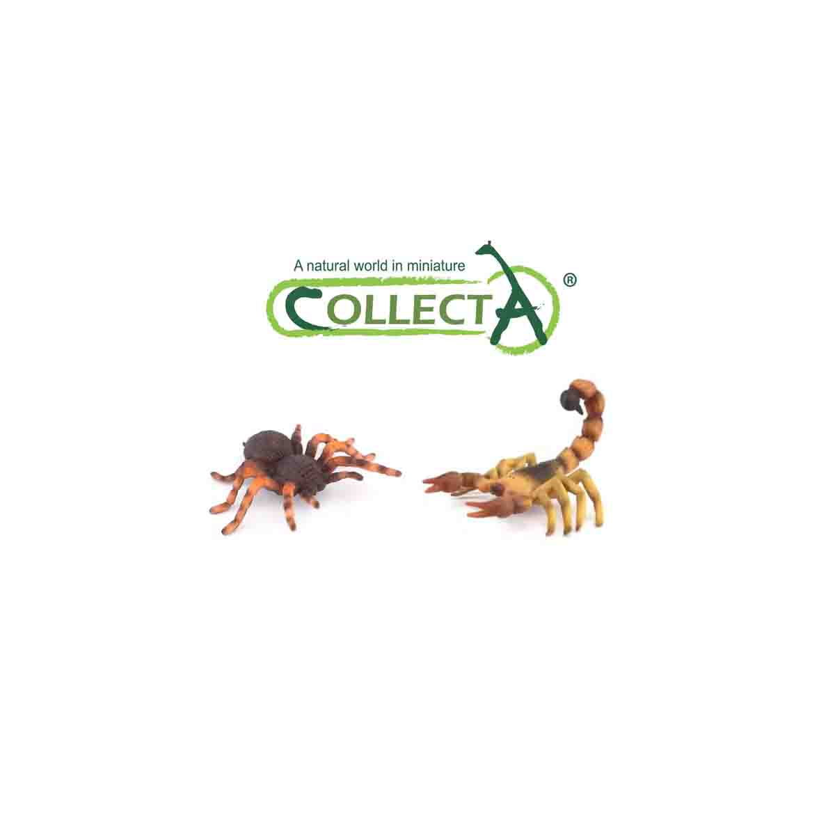 Đồ Chơi Mô Hình Động Vật Nhện Tarantula Mexico, Bọ Cạp Vàng COLLECTA 89607