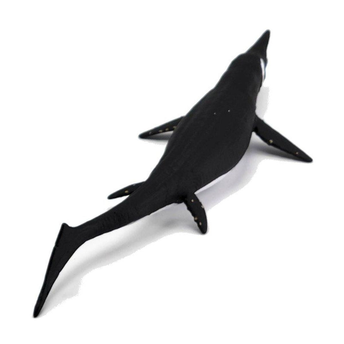 Đồ Chơi Mô Hình Động Vật Thằn Lằn Cá Shastasaurus COLLECTA 88974