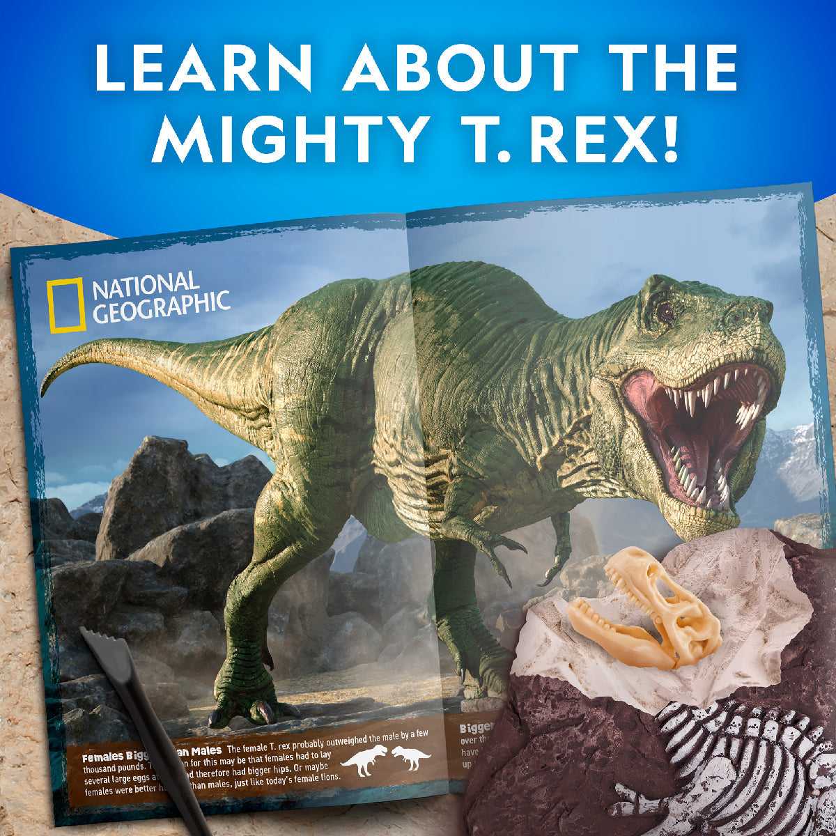 Nat Geo Bộ Khảo Cổ Truy Tìm Xương Khủng Long Bạo Chúa STEAM RTTREXDIG