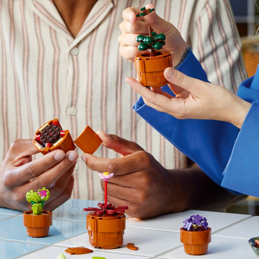 Đồ Chơi Lắp Ráp Bộ Sưu Tập Hoa Xương Rồng LEGO BOTANICALS 10329 (758 chi tiết)