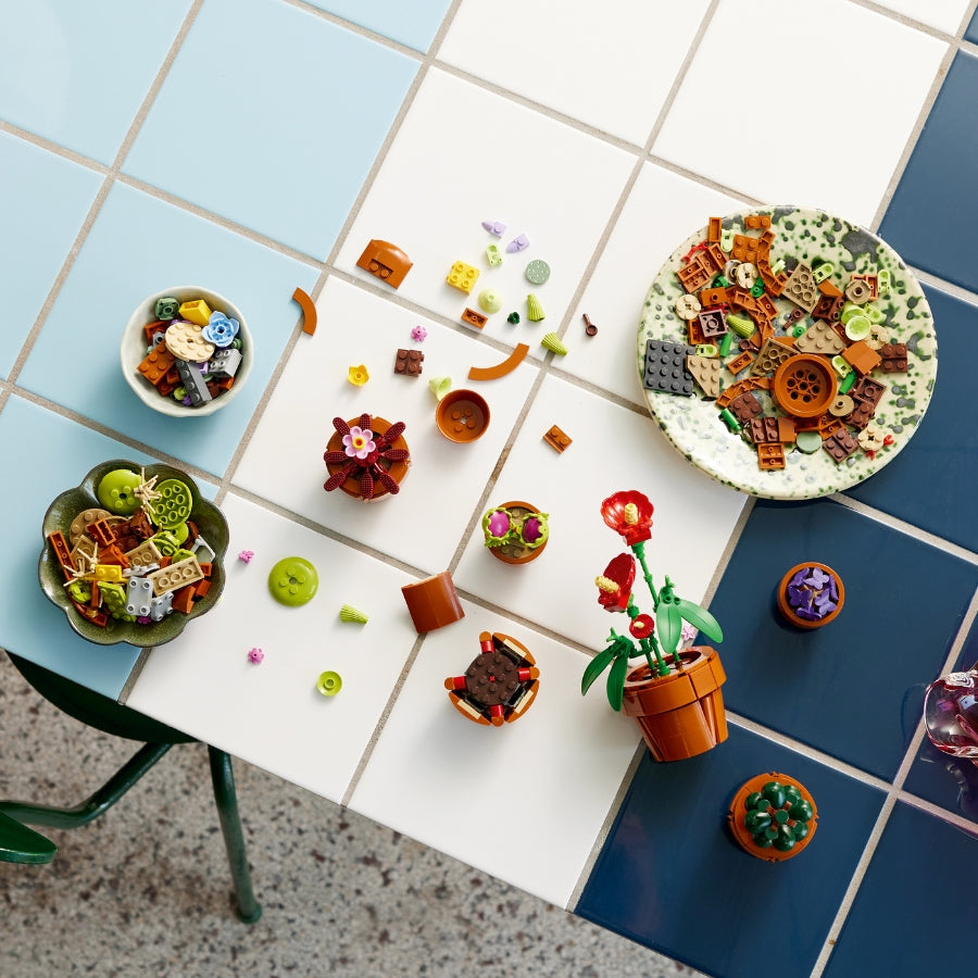 Đồ Chơi Lắp Ráp Bộ Sưu Tập Hoa Xương Rồng LEGO BOTANICALS 10329 (758 chi tiết)