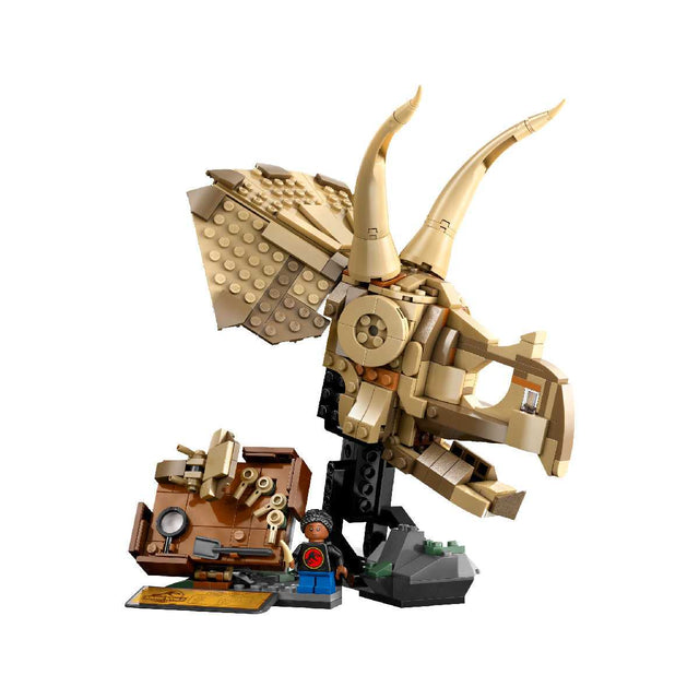 do-choi-lap-rap-dau-khung-long-ba-sung-lego-jurassic-76969-02