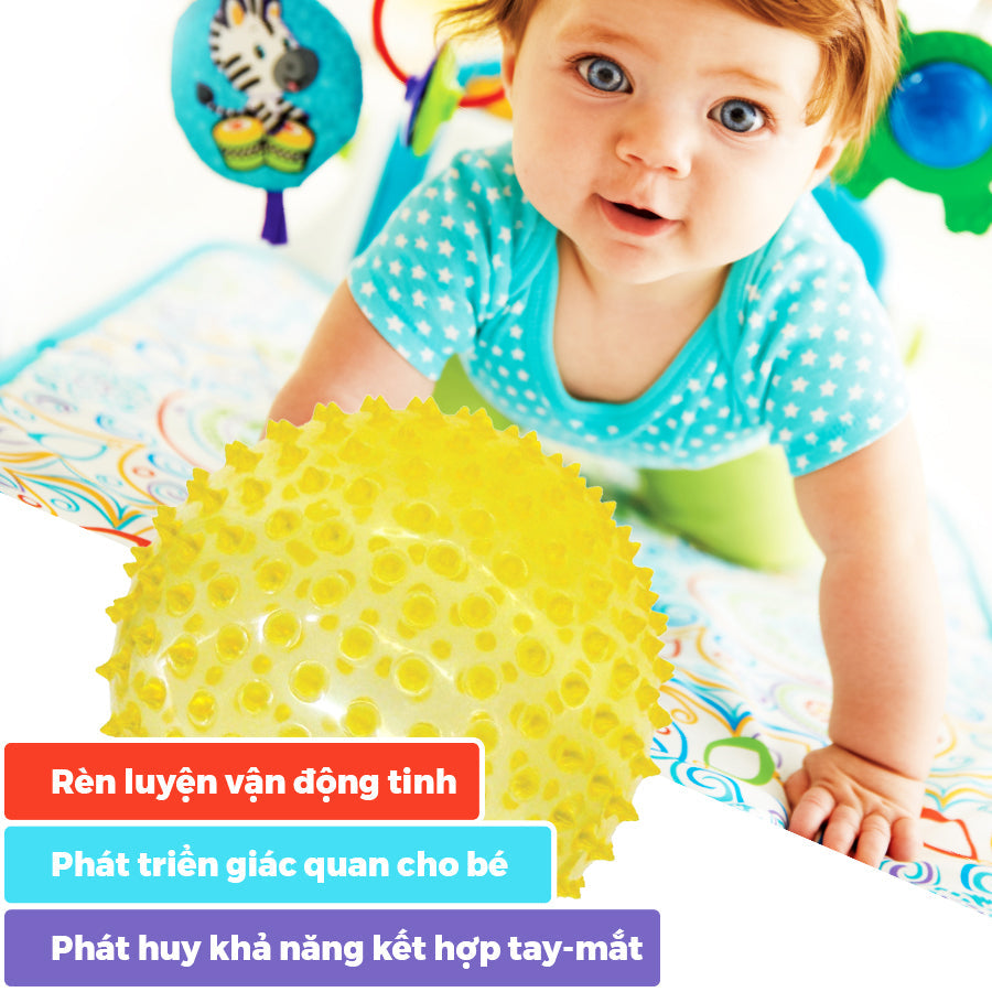 Đồ chơi banh mềm phát triển giác quan cho bé 17cm FISHER-PRICE F0516-1