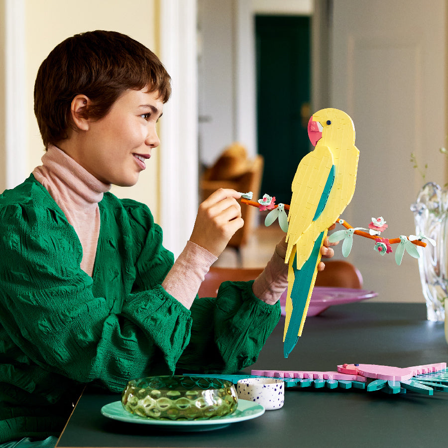 do-choi-lap-rap-doi-chim-vet-treo-tuong-31211-07