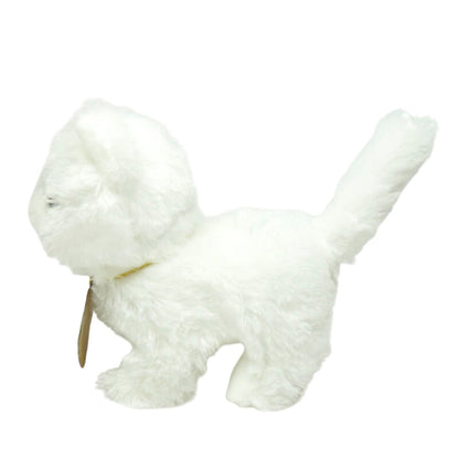 meo-con-baby-persian-3303-2vn-js-03