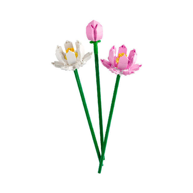 lotus-flowers-40647-03