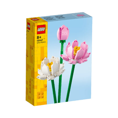 lotus-flowers-40647-02
