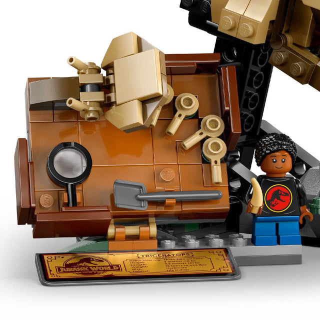 do-choi-lap-rap-dau-khung-long-ba-sung-lego-jurassic-76969-04