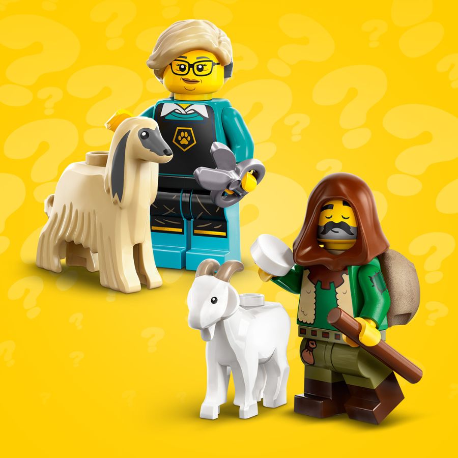 Đồ chơi lắp ráp Nhân vật số 25 LEGO MINIFIGURES 71045