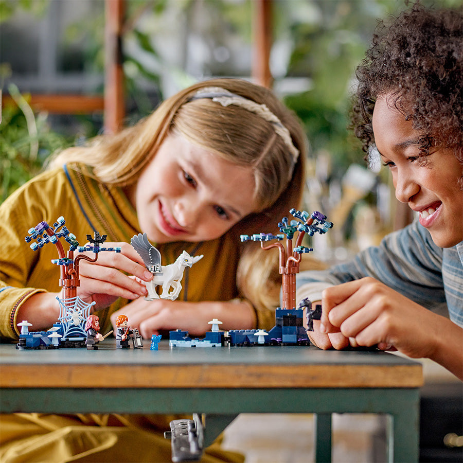 Đồ chơi lắp ráp Khu rừng cấm: Sinh vật huyền bí LEGO HARRY POTTER 76432