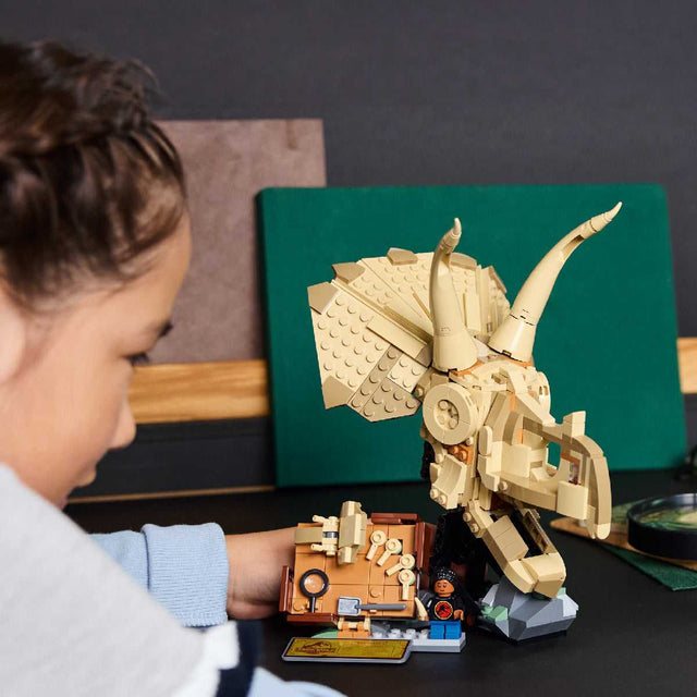 do-choi-lap-rap-dau-khung-long-ba-sung-lego-jurassic-76969-08