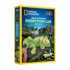 Đồ Chơi Nat Geo Giải Phẫu Thằn Lằn Phát Sáng Trong Đêm STEAM RTGECKOLAB