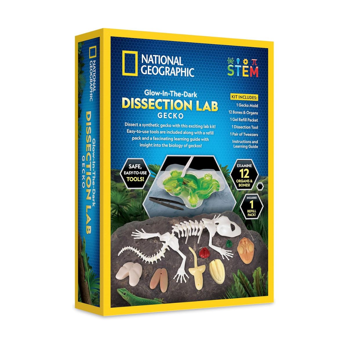 Đồ Chơi Nat Geo Giải Phẫu Thằn Lằn Phát Sáng Trong Đêm STEAM RTGECKOLAB