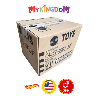 bo-suu-tap-sieu-xe-hot-wheels-72-chiec-c4982-dash-01