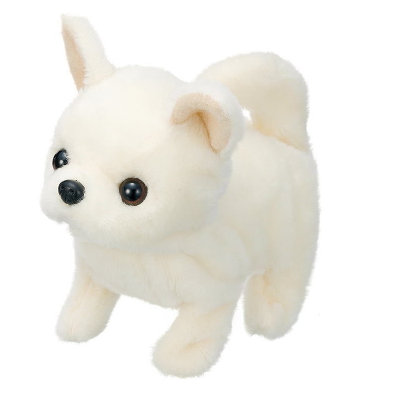 cun-con-baby-chihuahua-3301-3vn-js-02