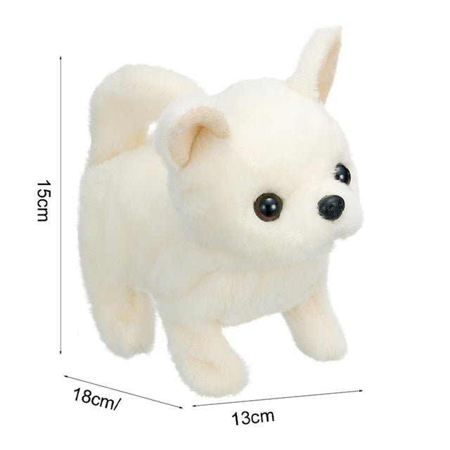 cun-con-baby-chihuahua-3301-3vn-js-03