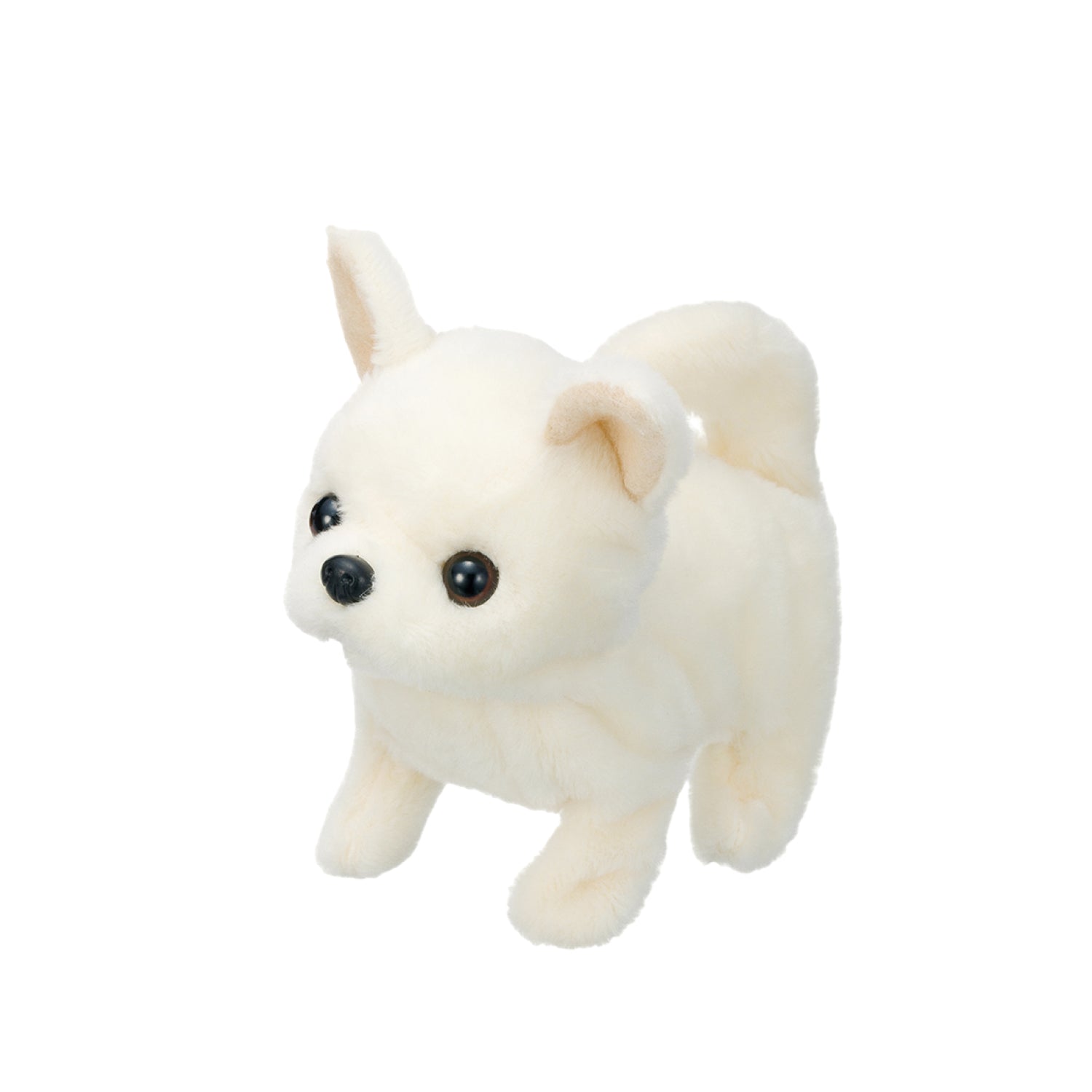 cun-con-baby-chihuahua-3301-3vn-js-01