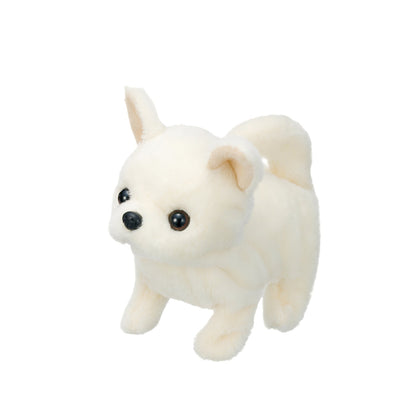 cun-con-baby-chihuahua-3301-3vn-js-01