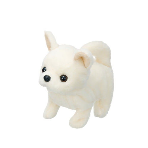 cun-con-baby-chihuahua-3301-3vn-js