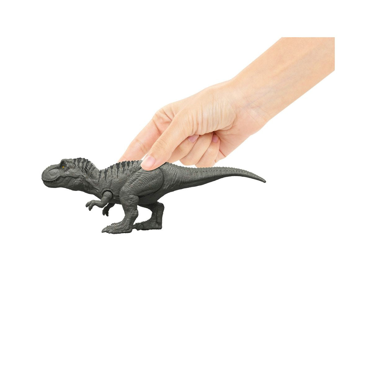 Đồ Chơi Khủng Long T-Rex 6 Inch JURASSIC WORLD MATTEL JKT67/JKT64