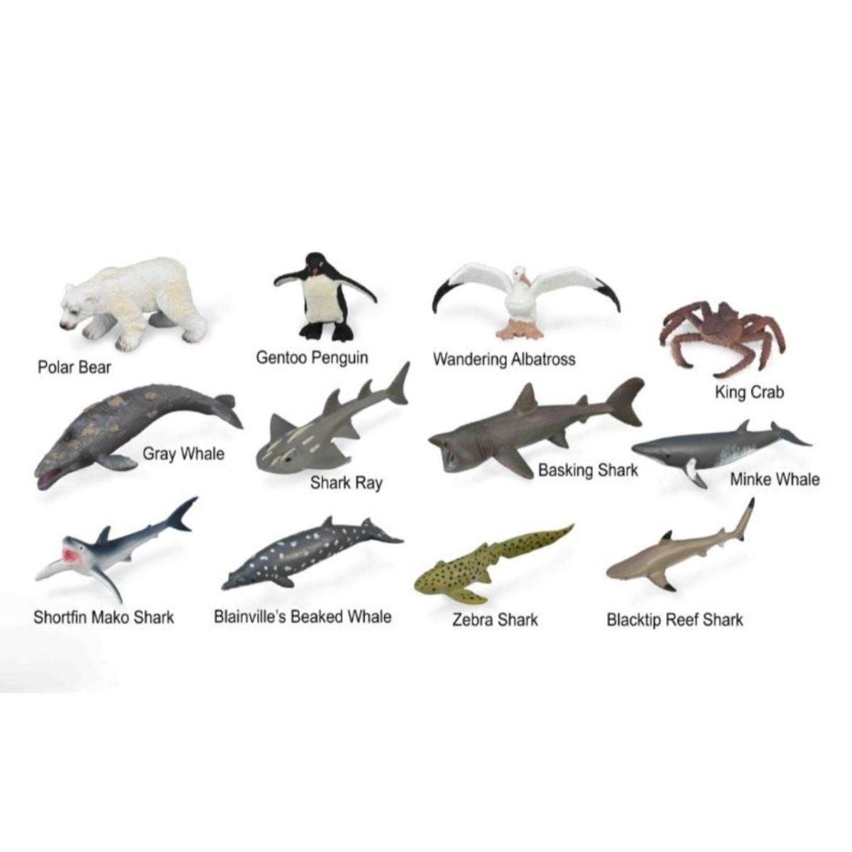 Đồ Chơi Bộ Sưu Tập Mô Hình 12 Sinh Vật Biển CollectA - 3 COLLECTA A1211