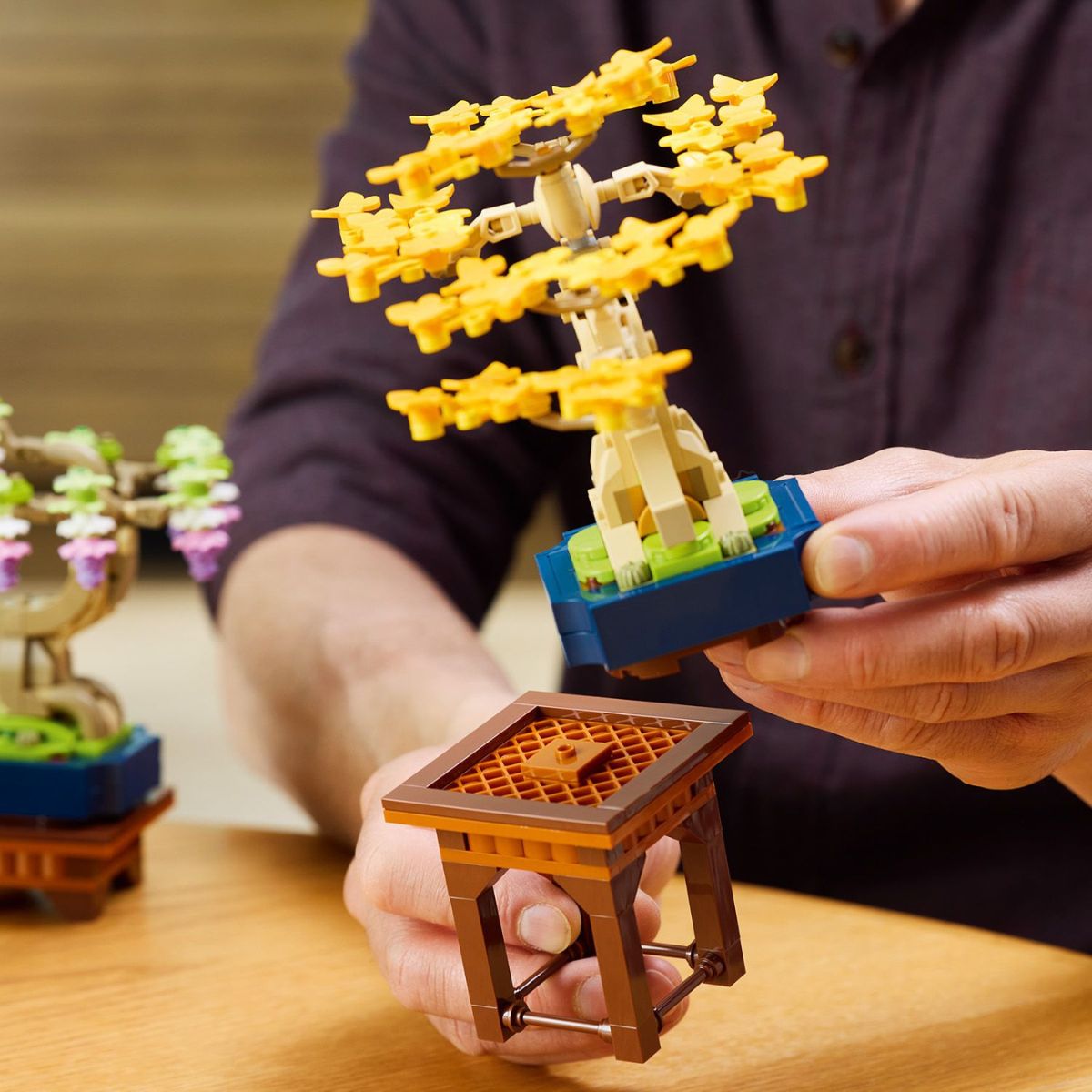 Đồ Chơi Lắp Ráp Cây Bonsai Mini LEGO BOTANICALS 10373 (709 chi tiết)