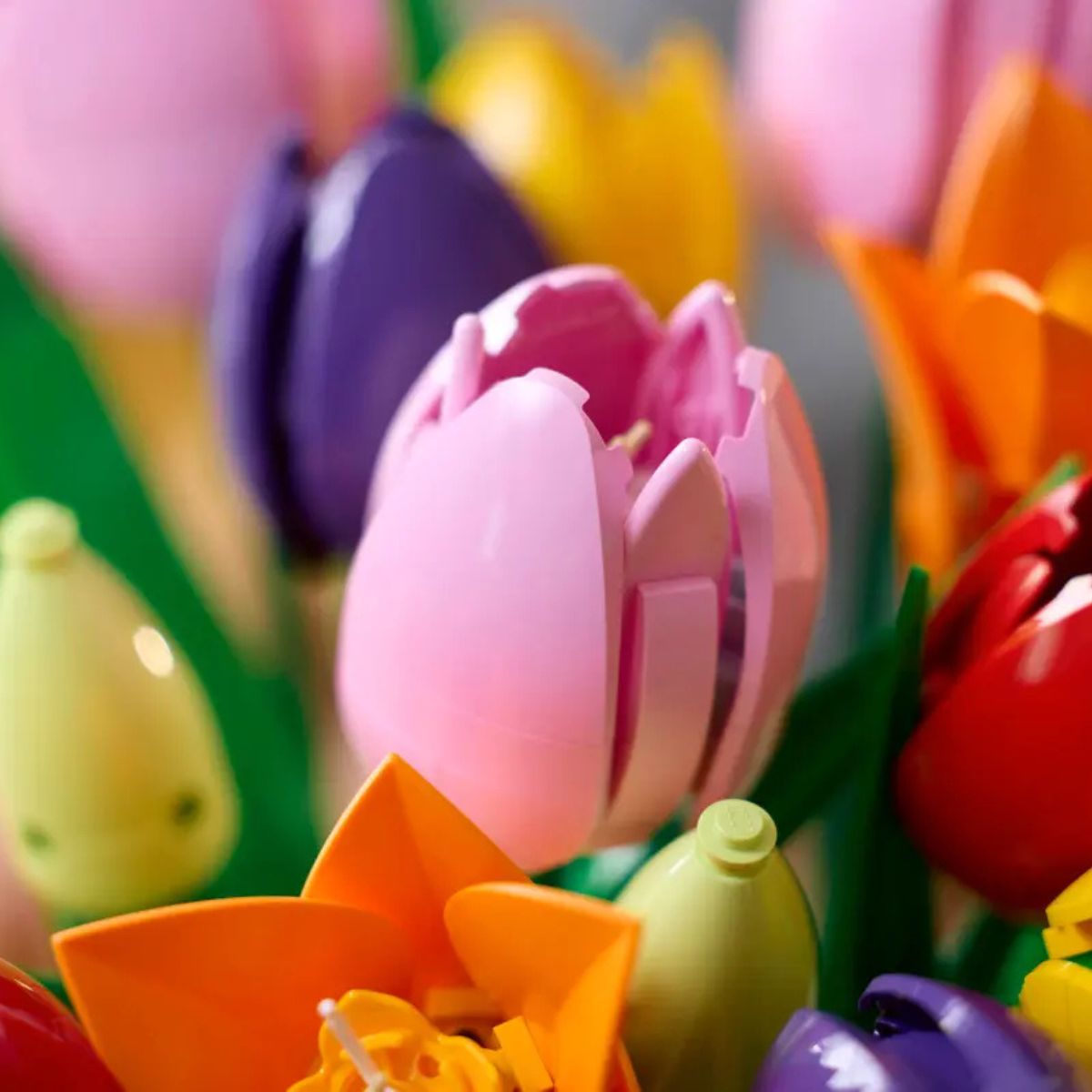Đồ Chơi Lắp Ráp Bó Hoa Tulip LEGO BOTANICALS 11501 (576 Chi Tiết)