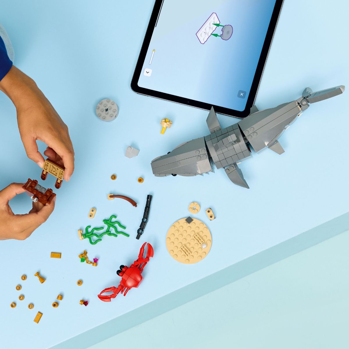 Đồ Chơi Lắp Ráp Cá Mập Đại Dương Và Rương Kho Báu LEGO CREATOR 31381