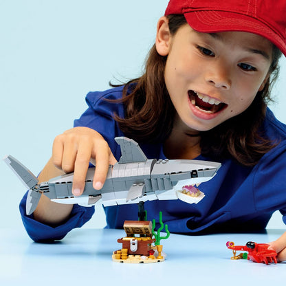 do-choi-lap-rap-ca-map-dai-duong-va-ruong-kho-bau-lego-creator-31381-011