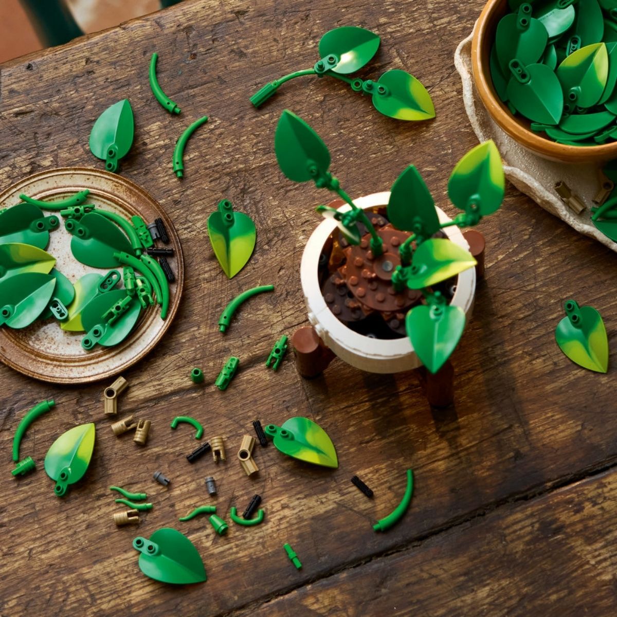 Đồ Chơi Lắp Ráp Chậu Cây Trầu Bà Treo Tường LEGO BOTANICALS 11512 (372 Chi Tiết)