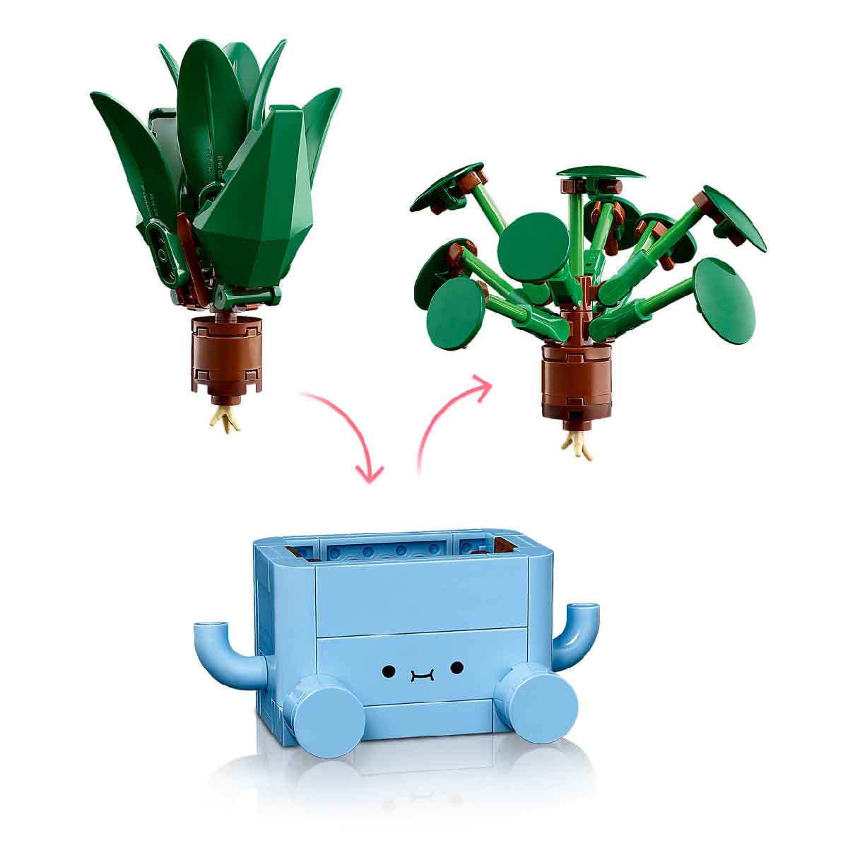 do-choi-lap-rap-chau-cay-vui-ve-lego-botanicals-10349-04