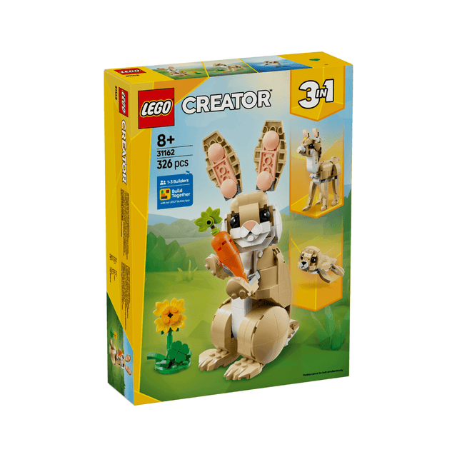do-choi-lap-rap-chu-tho-dang-yeu-lego-creator-31162-01