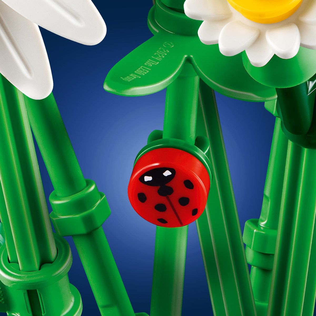 Đồ Chơi Lắp Ráp Cúc Họa Mi LEGO BOTANICALS 11508 (133 Chi Tiết)