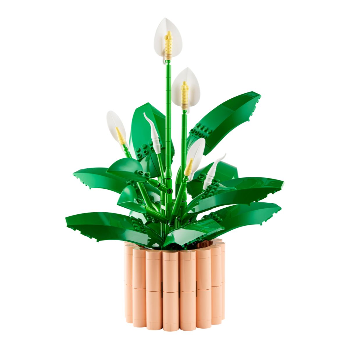 Đồ Chơi Lắp Ráp Hoa Lan Ý LEGO BOTANICALS 11504 (474 Chi Tiết)