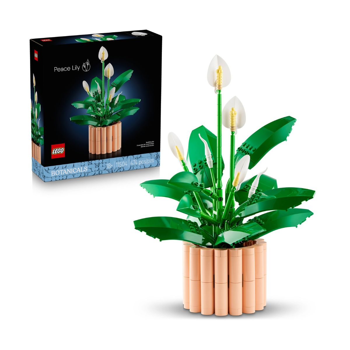 do-choi-lap-rap-hoa-lan-y-lego-botanicals-11504-01