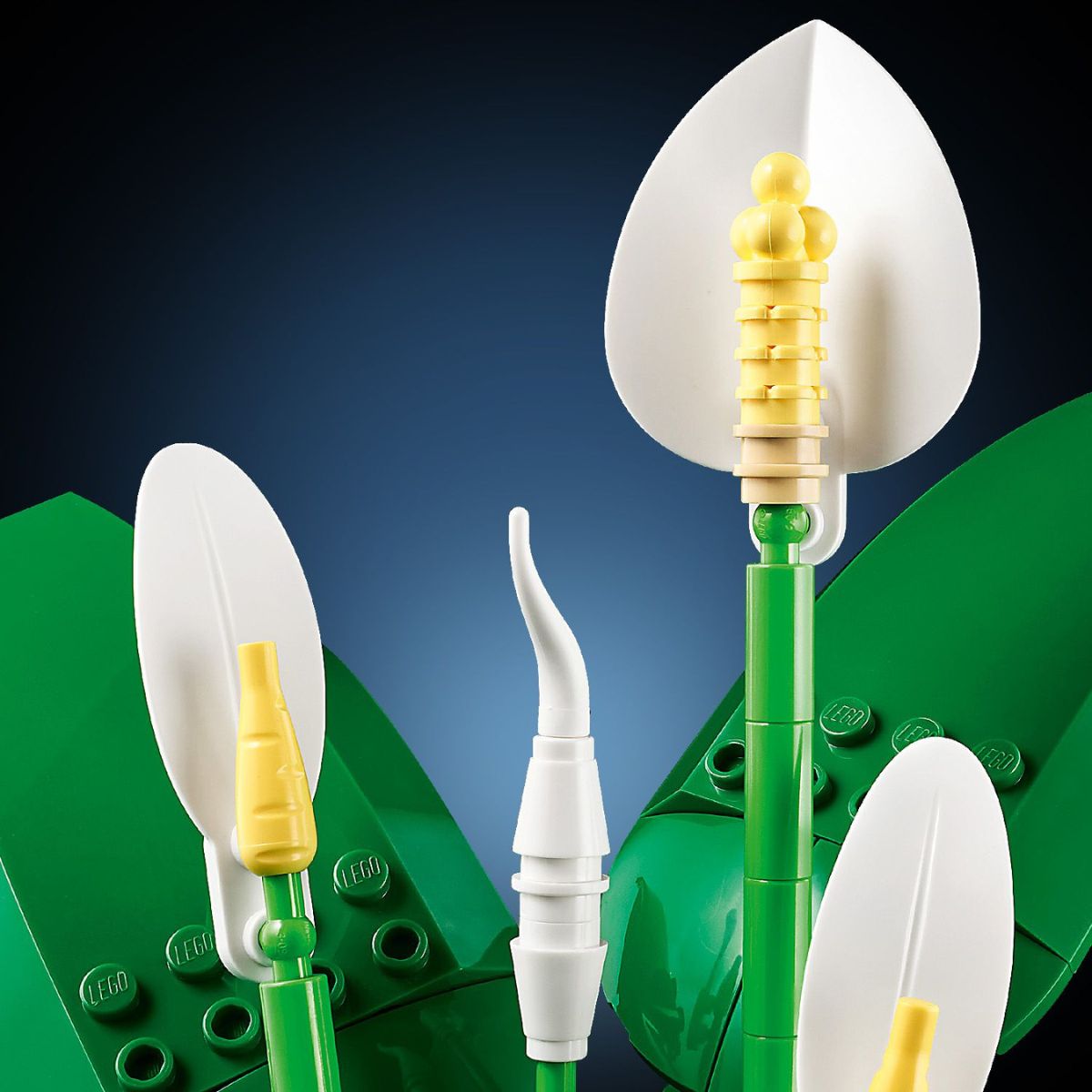 Đồ Chơi Lắp Ráp Hoa Lan Ý LEGO BOTANICALS 11504 (474 Chi Tiết)