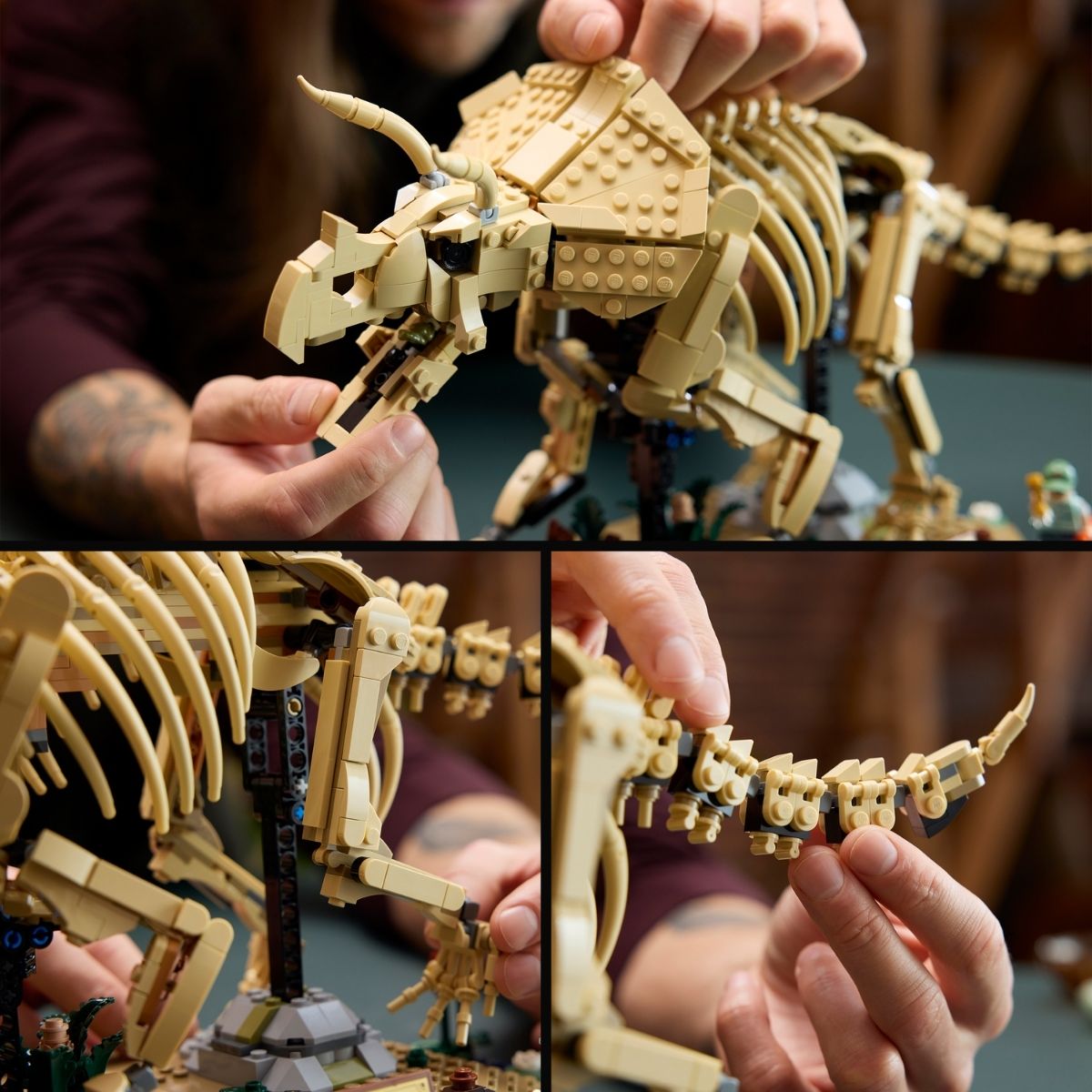 Đồ Chơi Lắp Ráp Hóa Thạch Khủng Long Triceratops LEGO JURASSIC 77985 (1154 chi tiết)