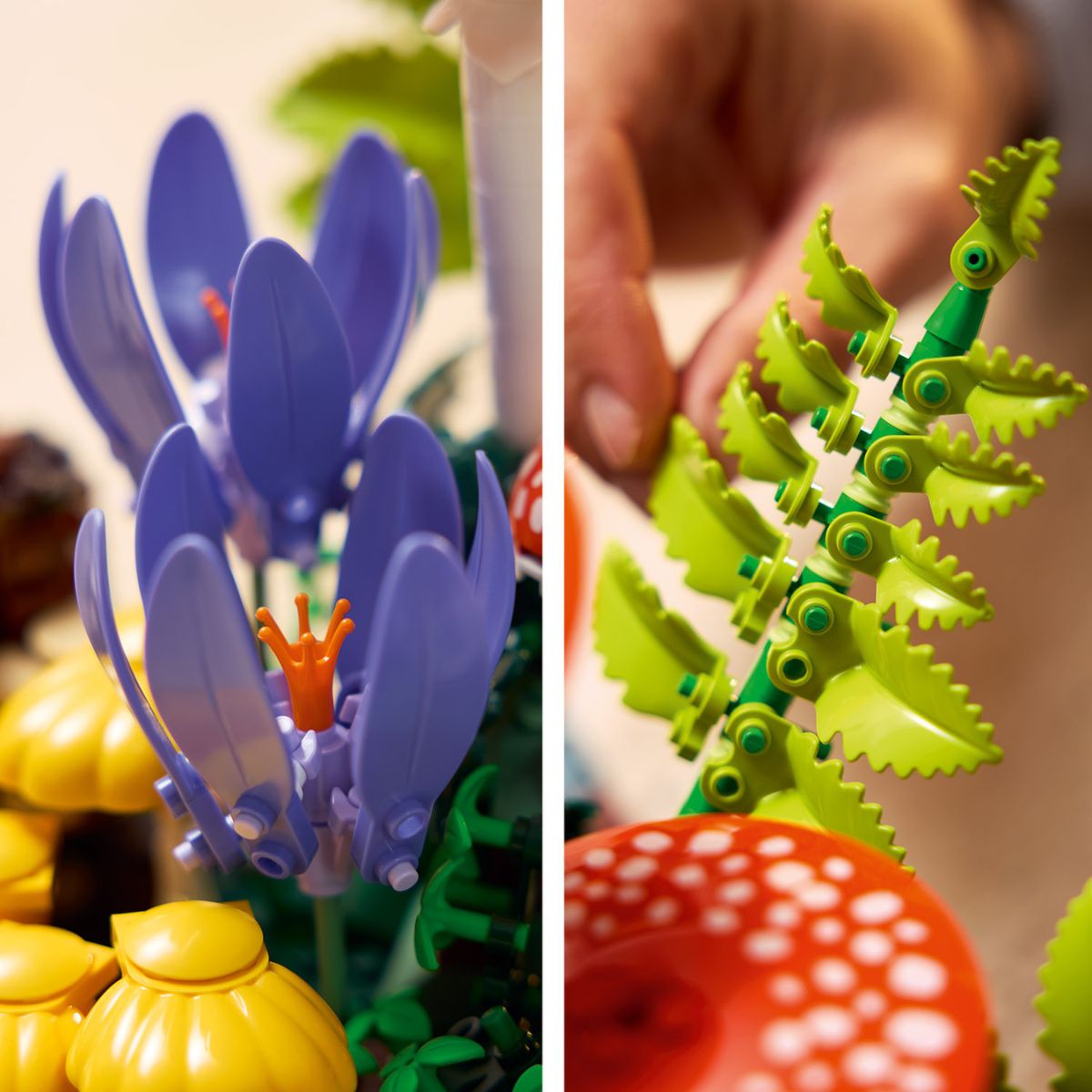 Đồ Chơi Lắp Ráp Nấm Rừng Xinh Xắn LEGO BOTANICALS 11505 (806 chi tiết)