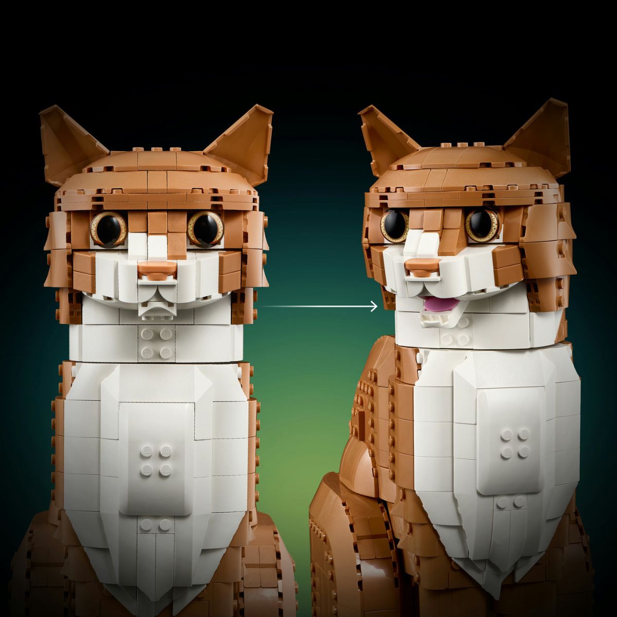 do-choi-lap-rap-meo-gung-lego-ideas-21376-08