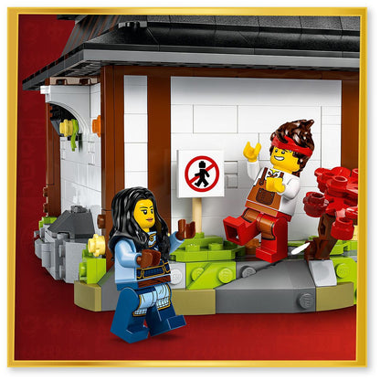 do-choi-lap-rap-tho-ren-bon-vu-khi-ky-niem-15-nam-lego-ninjago-ms-71858-08