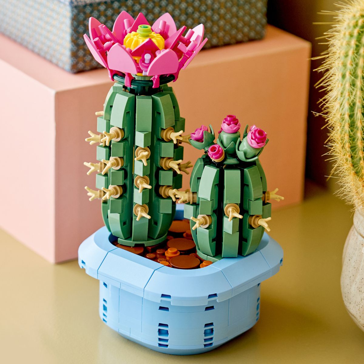 Đồ Chơi Lắp Ráp Xương Rồng Nở Hoa LEGO BOTANICALS 11509 (482 Chi Tiết)