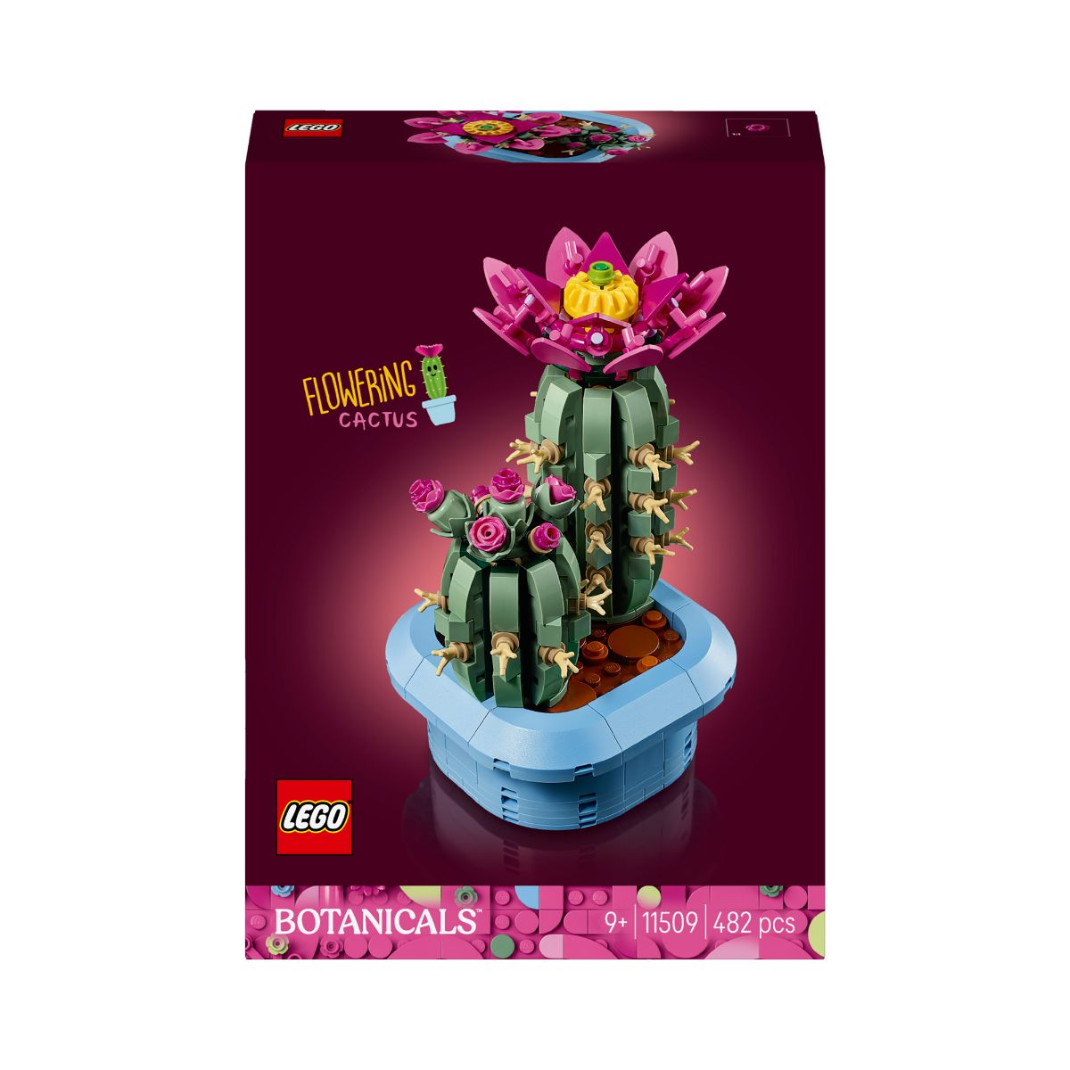 Đồ Chơi Lắp Ráp Xương Rồng Nở Hoa LEGO BOTANICALS 11509 (482 Chi Tiết)