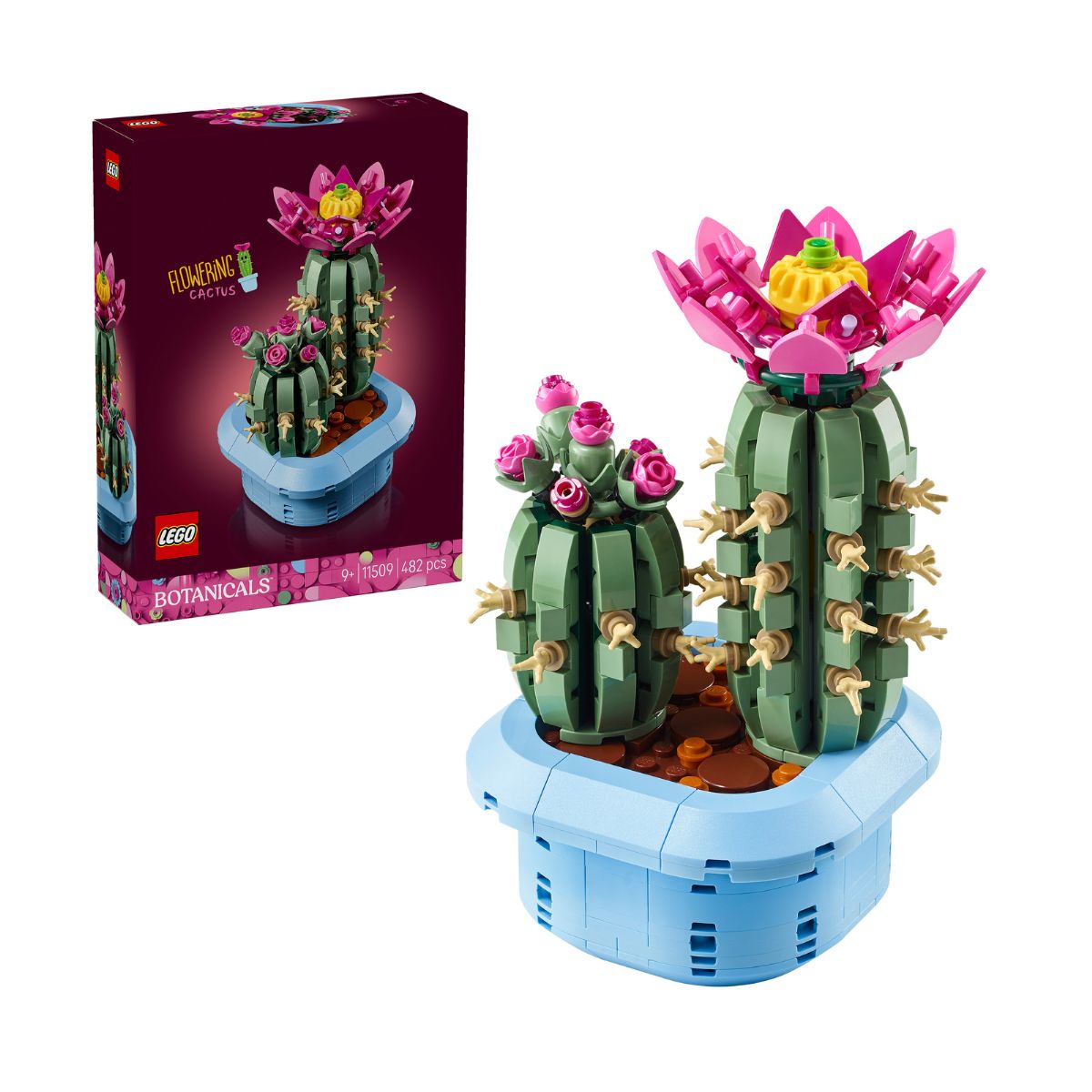 do-choi-lap-rap-xuong-rong-no-hoa-lego-botanicals-11509-01