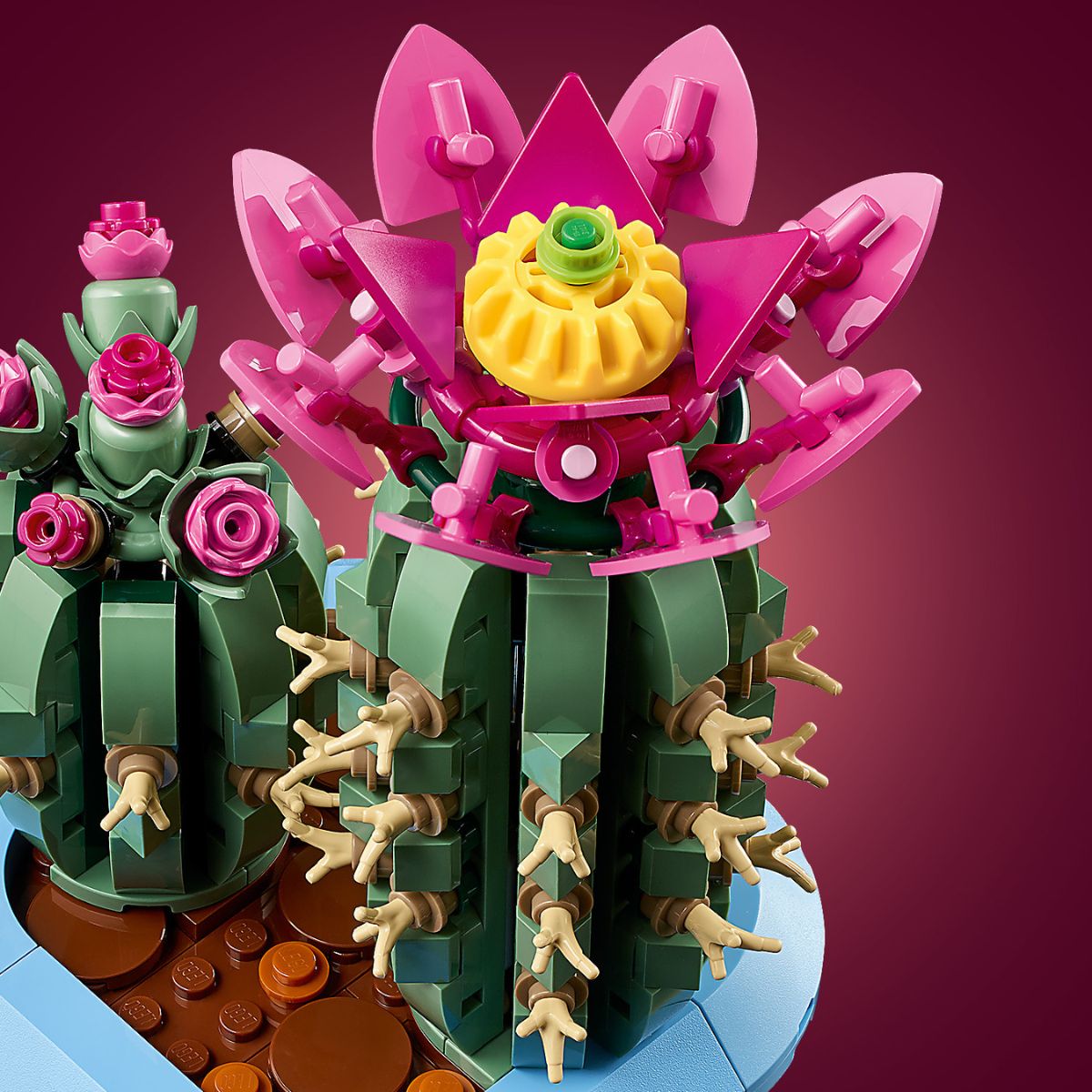 Đồ Chơi Lắp Ráp Xương Rồng Nở Hoa LEGO BOTANICALS 11509 (482 Chi Tiết)