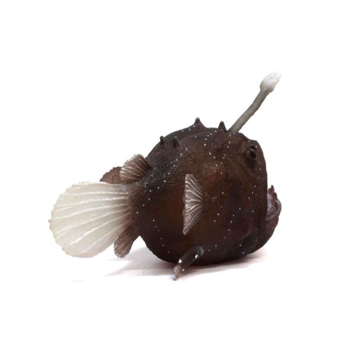 Đồ Chơi Mô Hình Động Vật CollectA Cá Lồng Đèn Anglerfish COLLECTA 88967