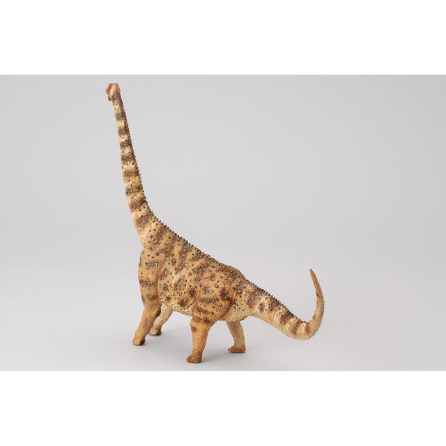 do-choi-mo-hinh-dong-vat-than-lan-argentinosaurus-collecta-88547-02